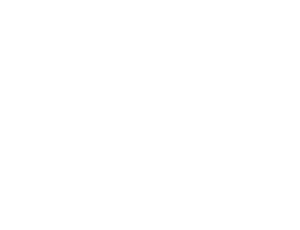 LeyCiber